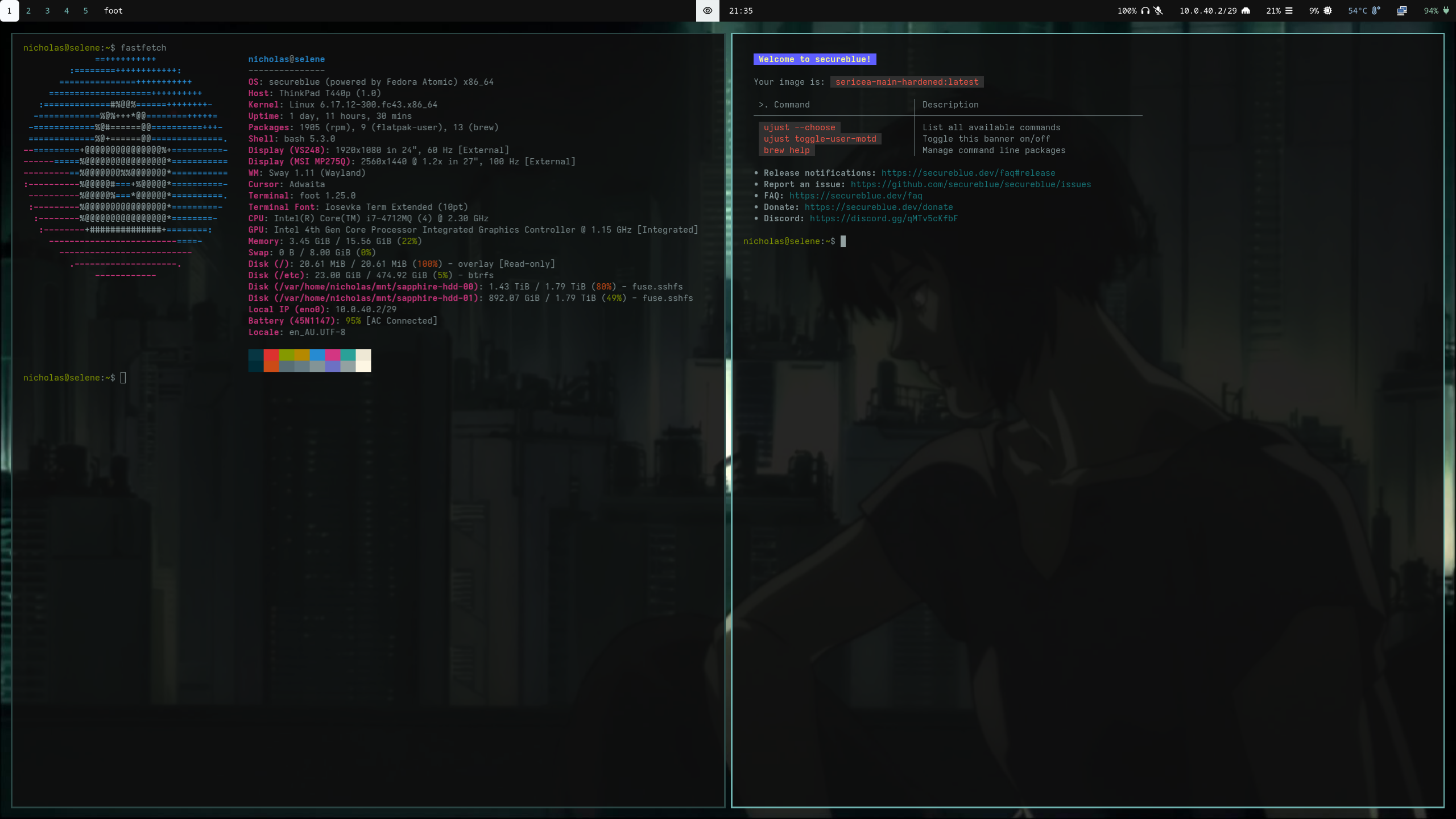 fastfetch output and terminal theme