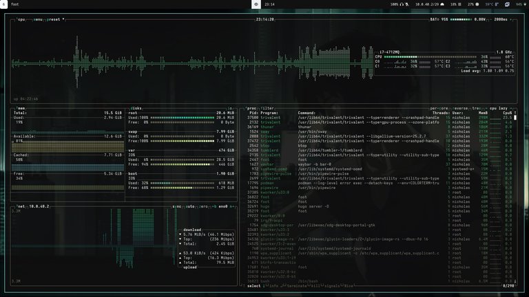 btop output and theme
