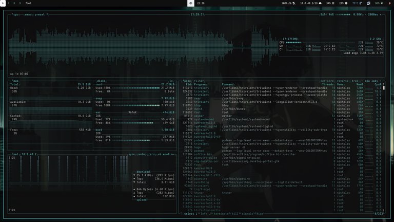 btop output and theme