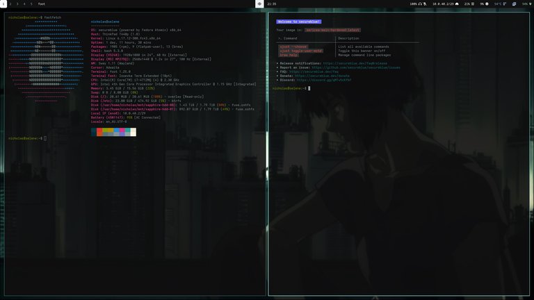 fastfetch output and terminal theme