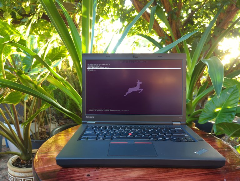 t440p boot screen